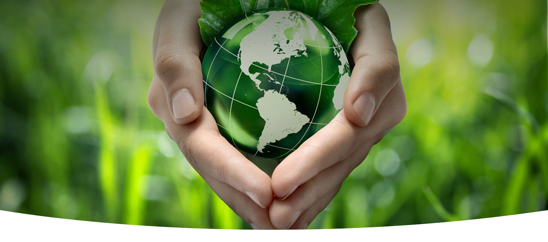 绿色地球守护者